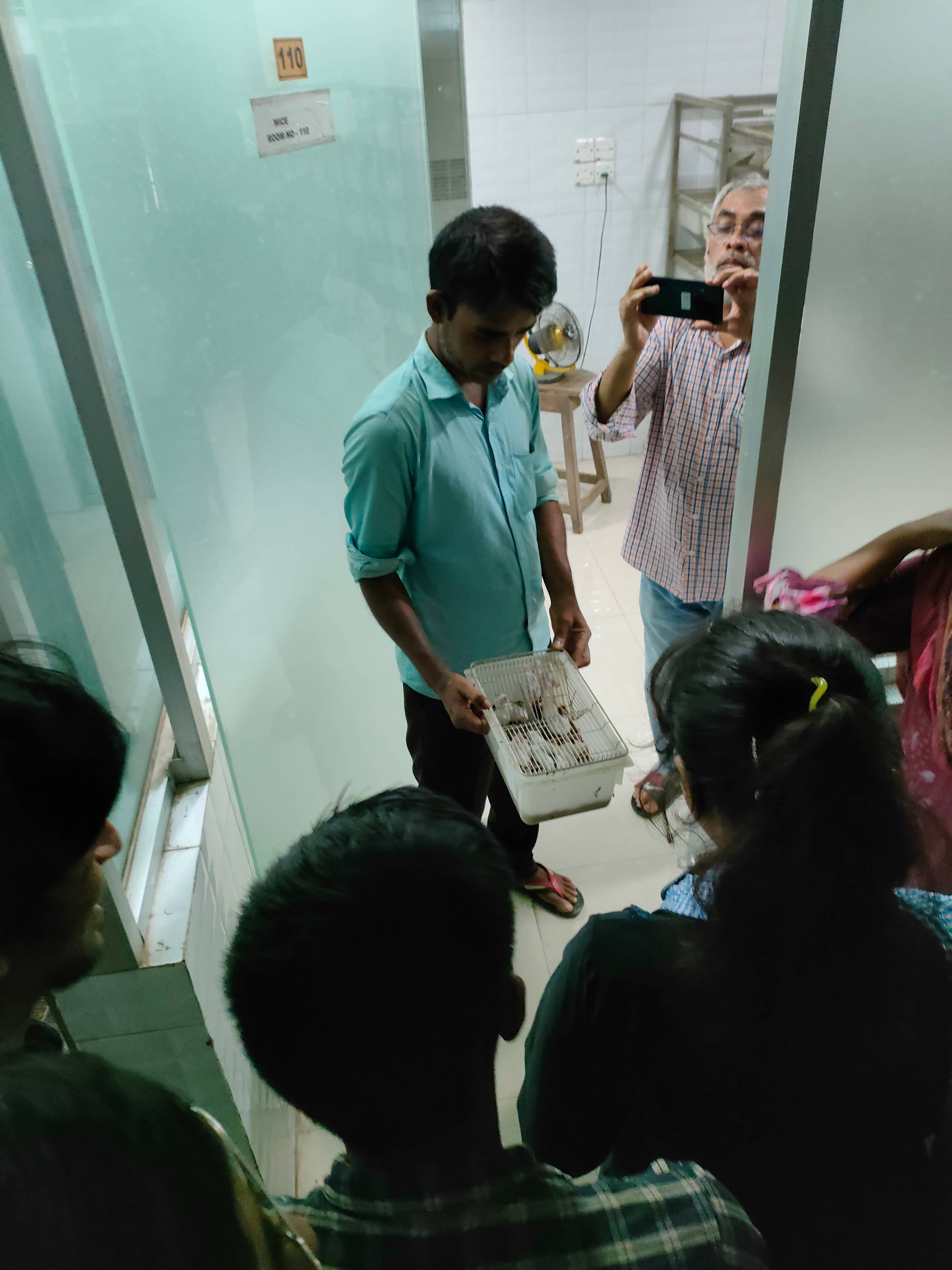 গিনিপিগ দেখা হচ্ছে। BCSIR-এ