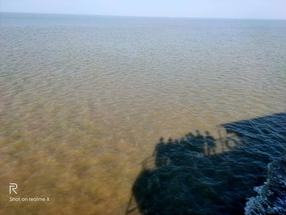 লঞ্চ থেকে আমাদের ছায়া