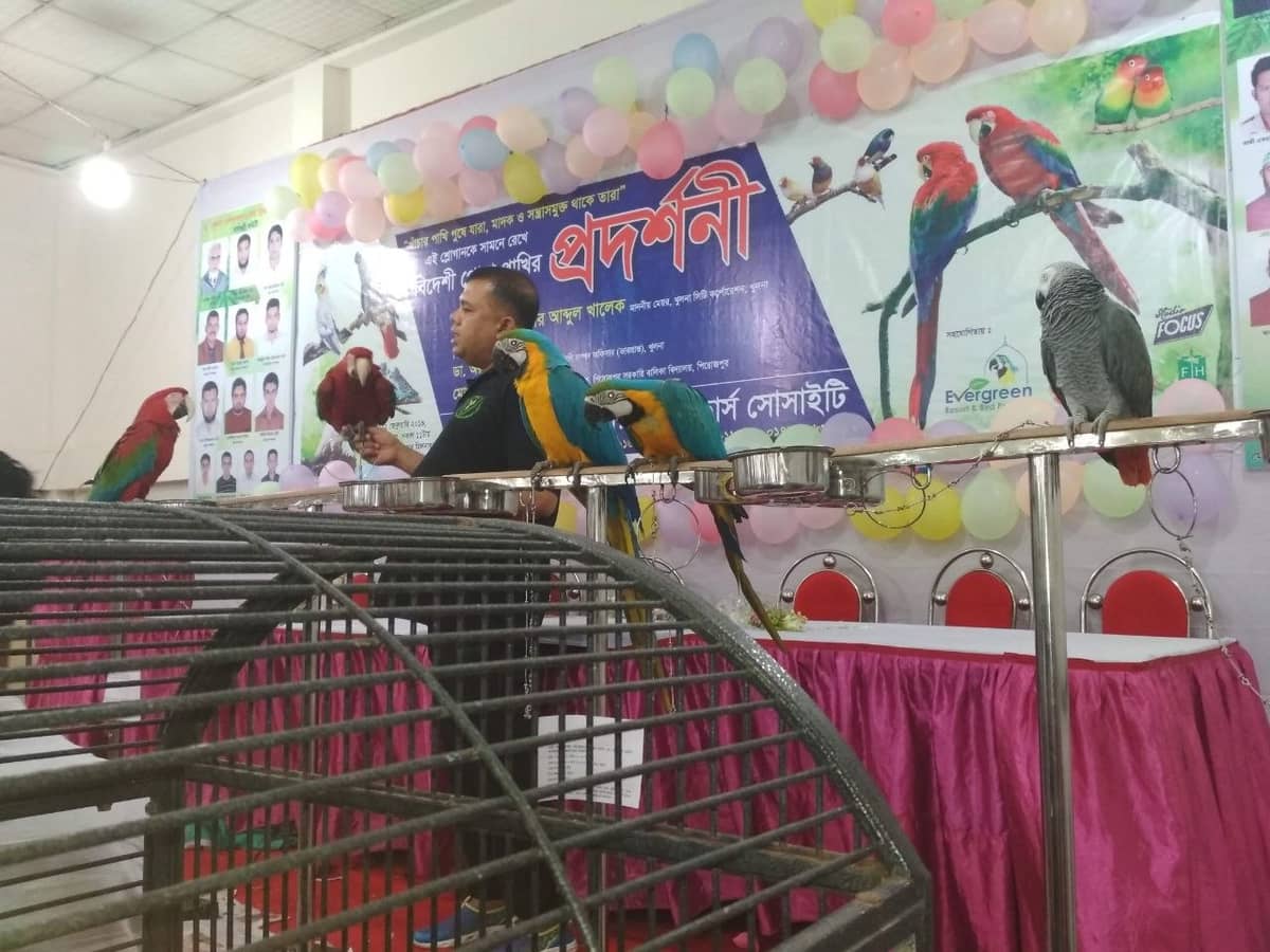 ইমরান ভাই (পিংকি আপুর স্বামী) খুলনার বহু যায়গায় নিয়ে যেত আমাকে। এই পাখি প্রদর্শনীও তেমন একটি যায়গা।