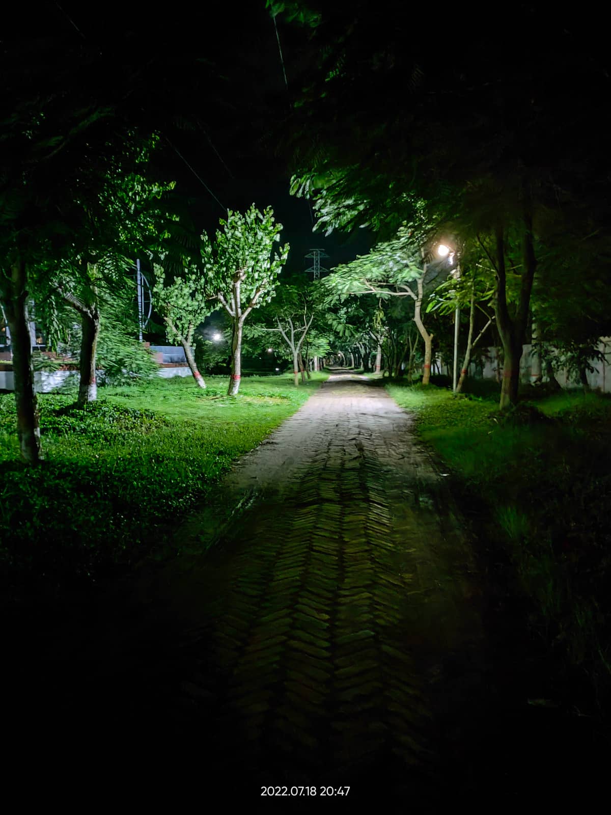পুরাতন লেক রোড়