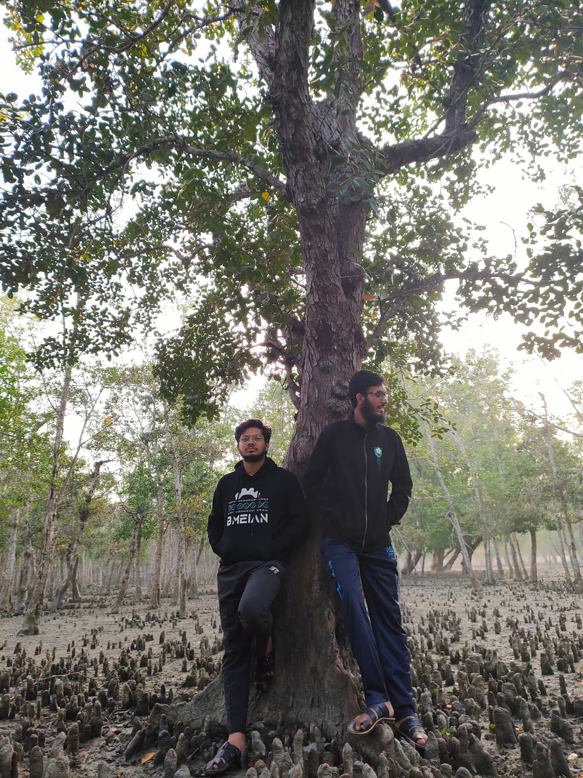 সুন্দরবনের ক্যান্ডিড
